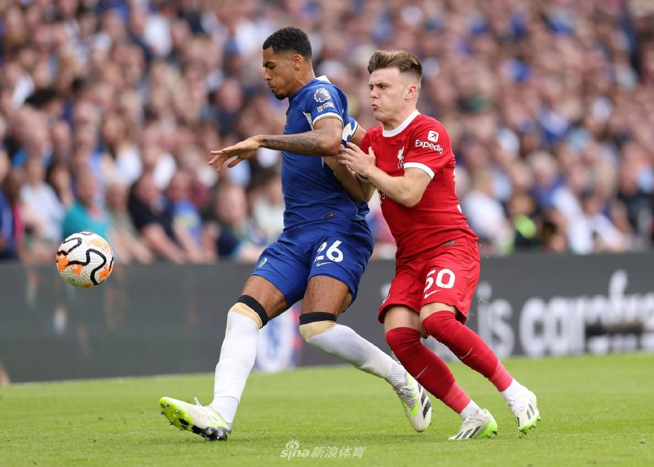 子金的故事 子金的故事